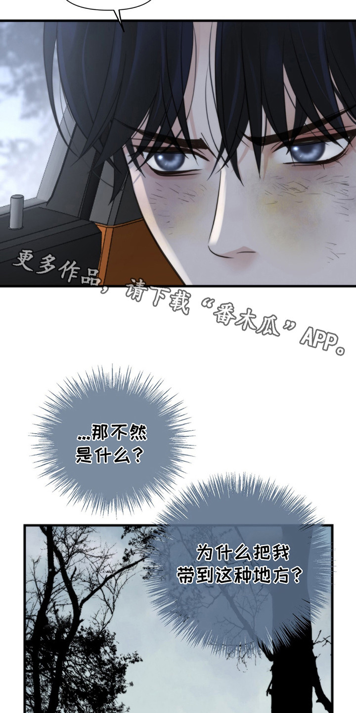 老大的挨打小弟漫画,第16章：回答1图