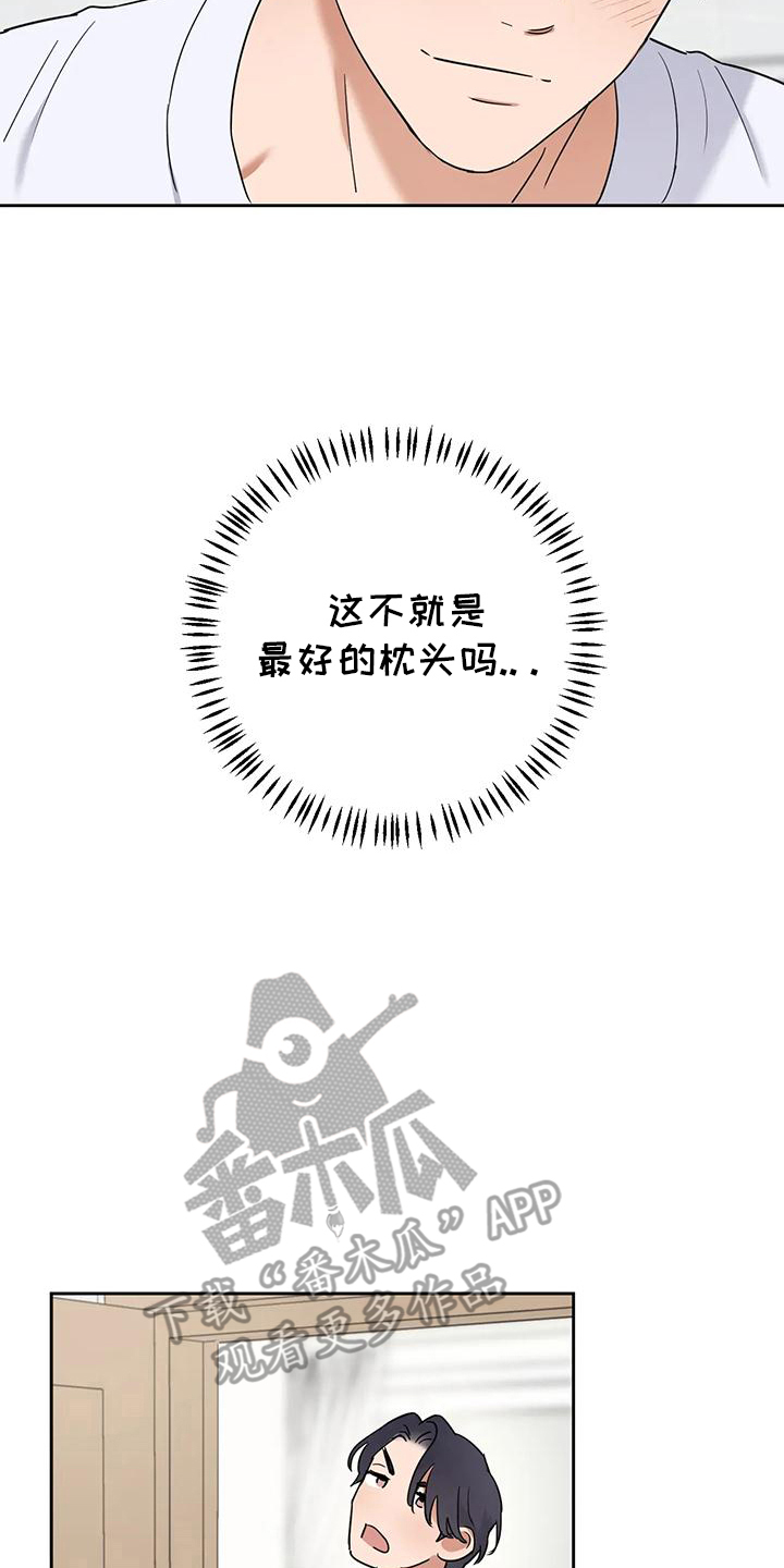 甜蜜的枕头漫画,第16章：最好的枕头4图