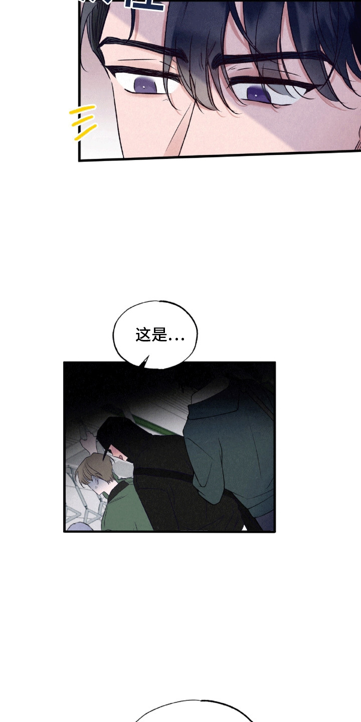 双重浪漫调查漫画,第1章：抓错人4图