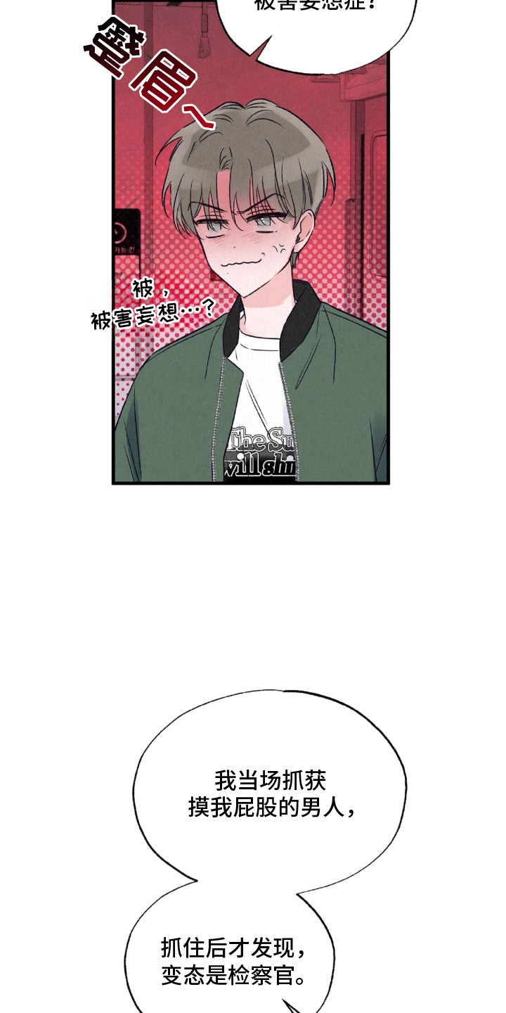 双重浪漫调查漫画,第1章：抓错人1图