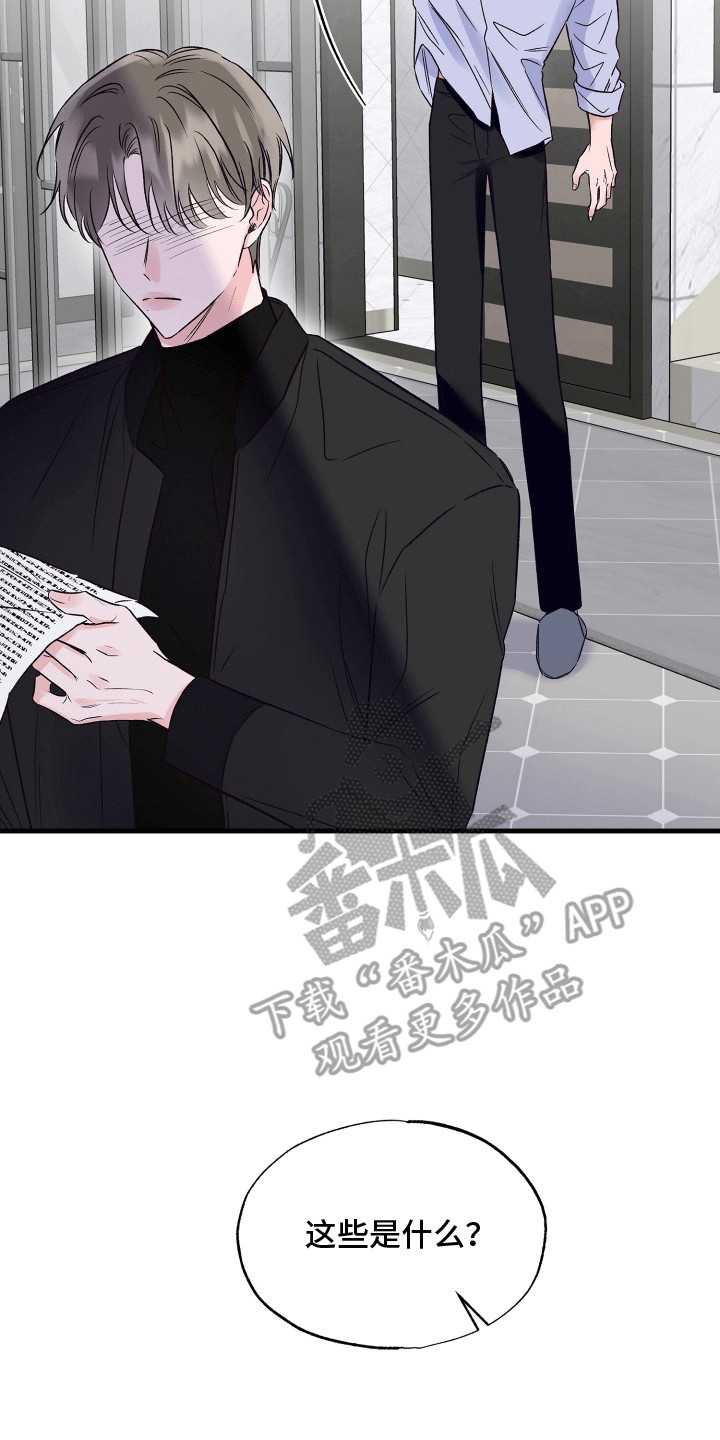 双重浪漫调查漫画,第20章：隐藏的秘密2图