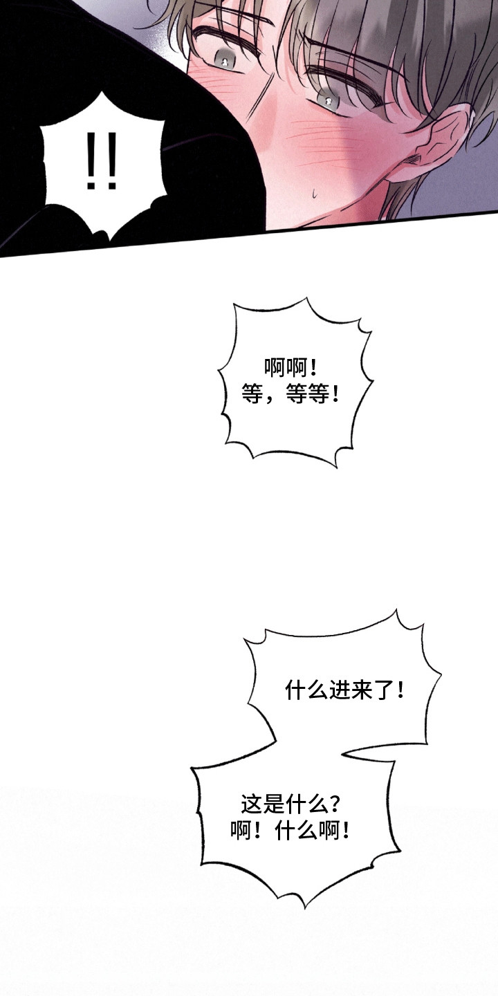 双重浪漫调查漫画,第7章：赌注2图