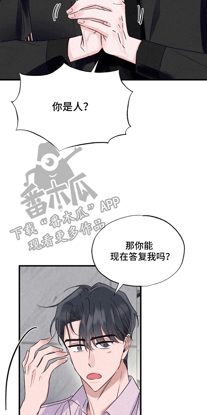 双重浪漫调查漫画,第19章：两条船5图