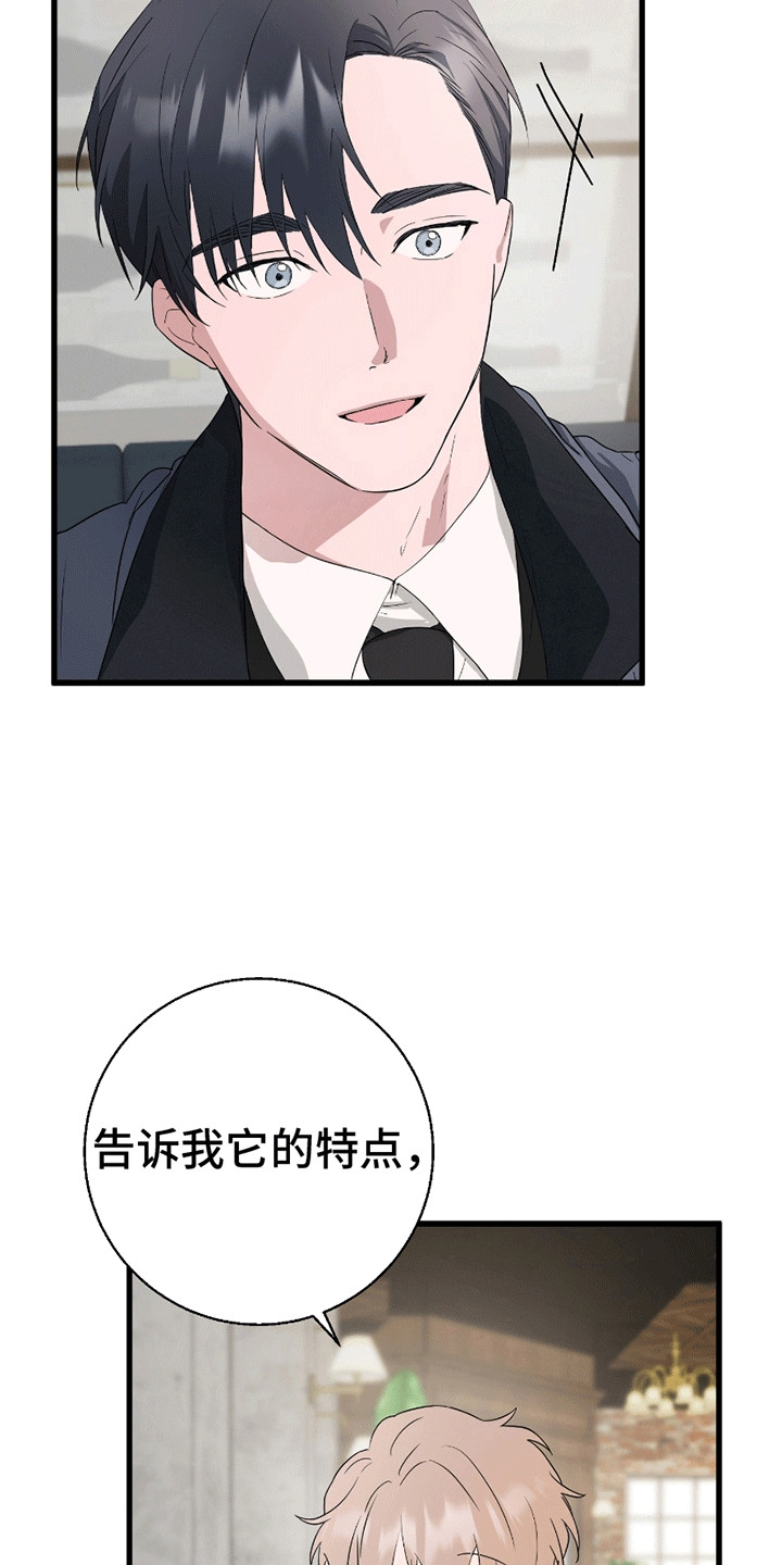 偷心盗贼快斗漫画,第3章：调查1图