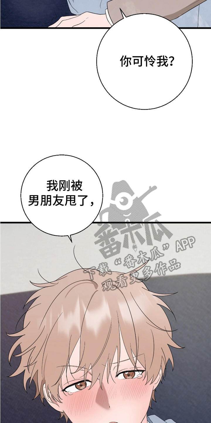 寻找偷心盗贼漫画,第6章：被分手3图