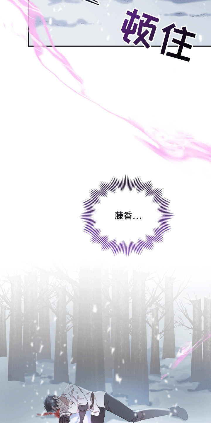 与生俱来的权利瓦尔基里漫画,第2章：受伤的人4图