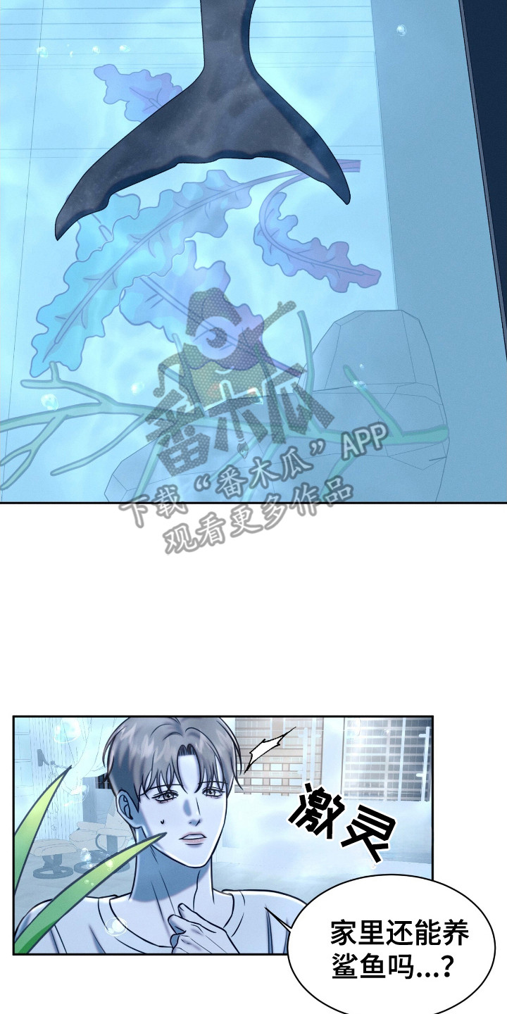 特殊偿还漫画,第24章：动物们4图
