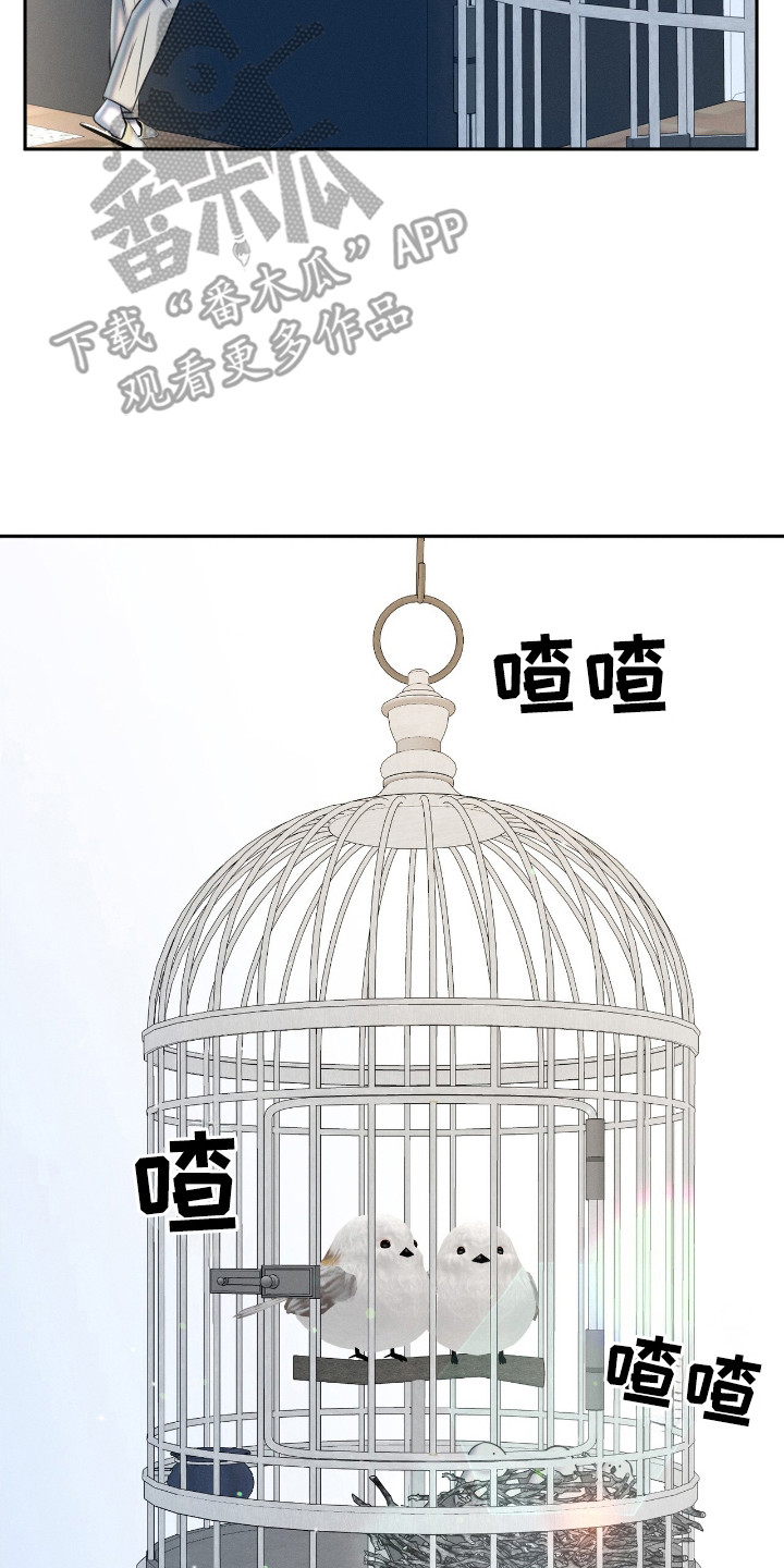 特殊偿还漫画,第24章：动物们2图