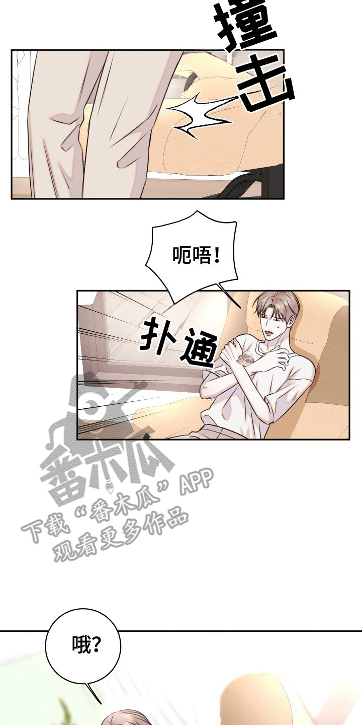 特殊偿还漫画,第24章：动物们5图