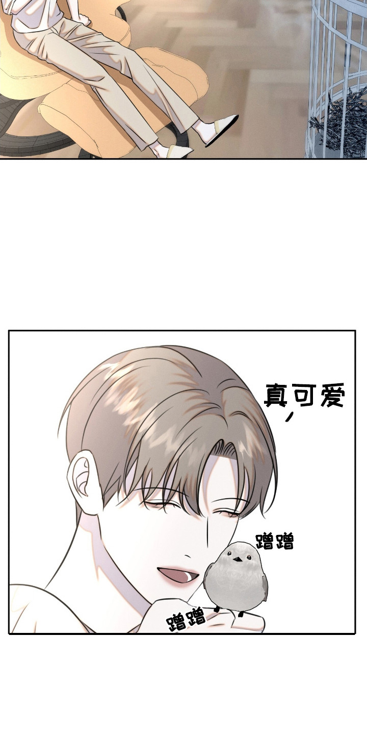 特殊偿还漫画,第24章：动物们2图