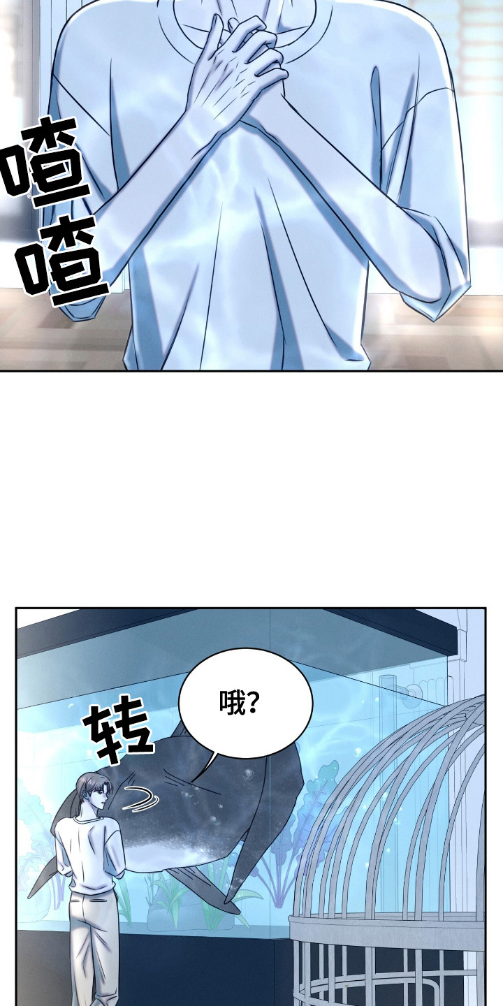 特殊偿还漫画,第24章：动物们1图