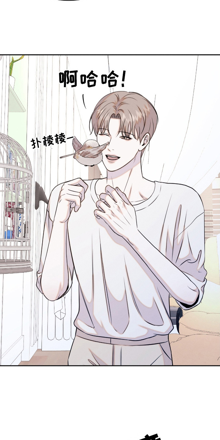 特殊偿还漫画,第24章：动物们4图