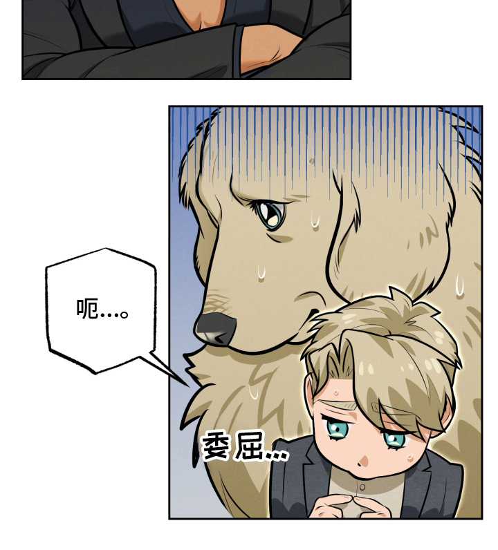 第12章：身体恢复3