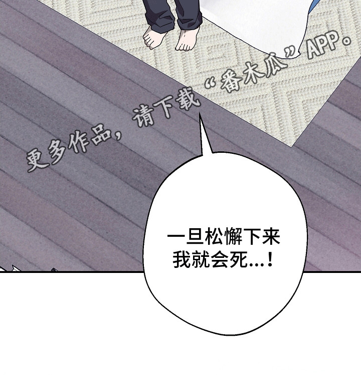 合适的温度伙伴漫画,第8章：和平共处5图