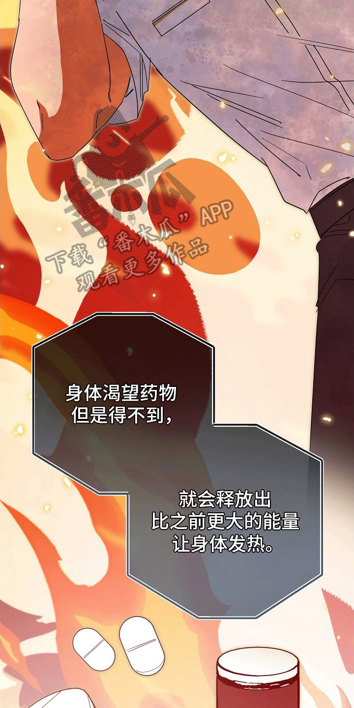 合适的温度伙伴漫画,第8章：和平共处4图