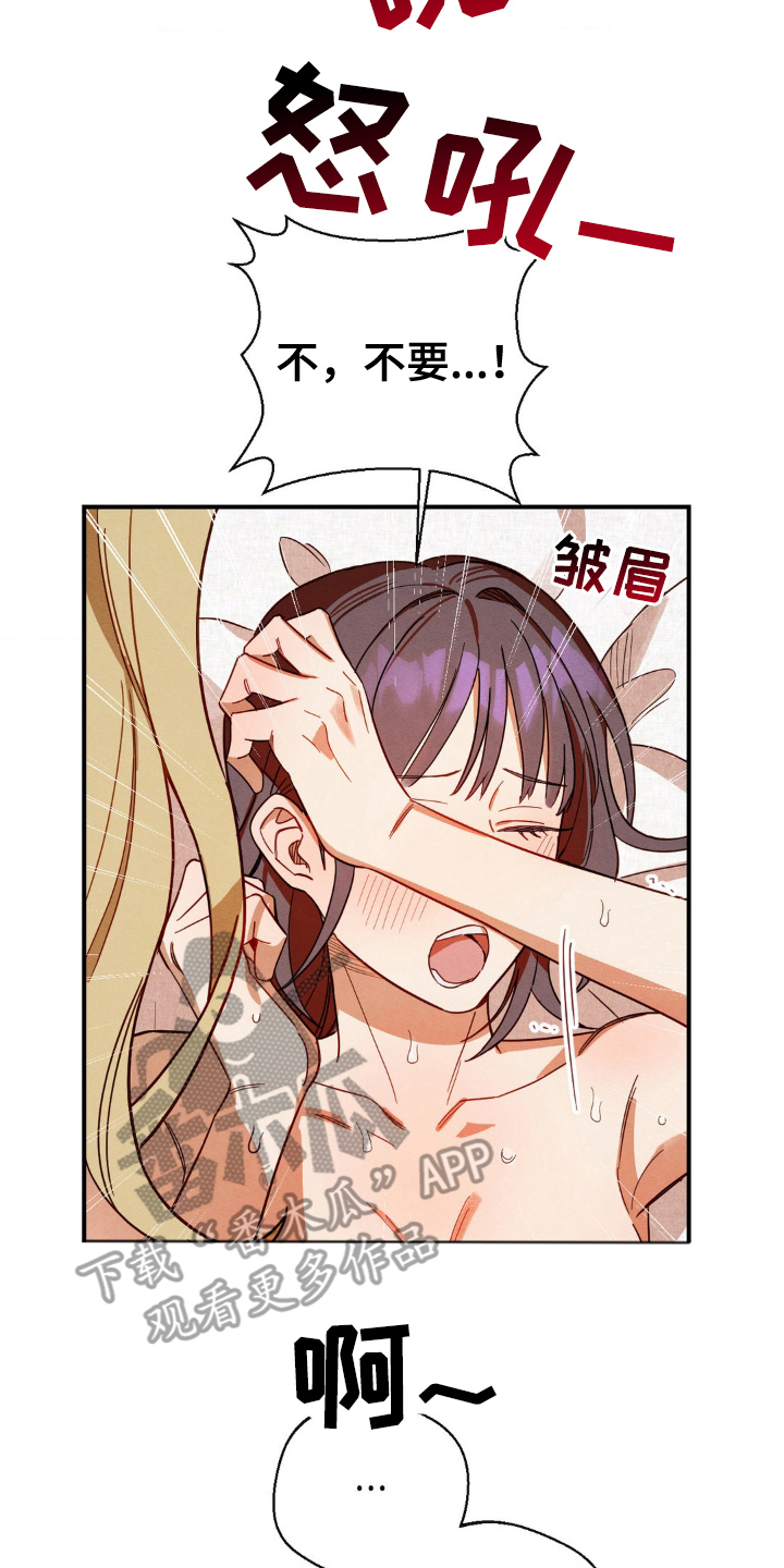 葡萄园里的那个小伙子漫画,第16章：执着的眼神4图