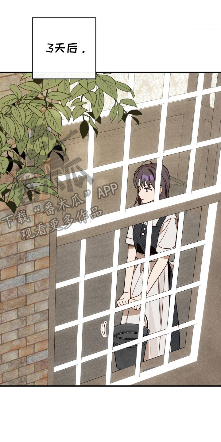 葡萄园里的恩典漫画,第6章：无人教导1图