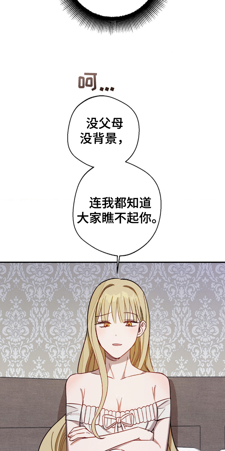 葡萄园里的诗意生活漫画,第11章：资格2图