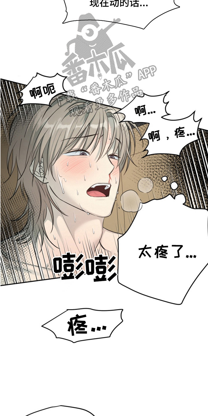 属性觉醒小说推荐漫画,第10章：无话可说5图