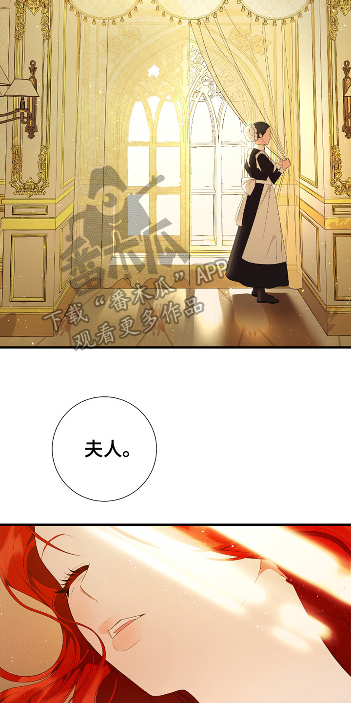 赤发千金特殊契约漫画,第4章：契约4图
