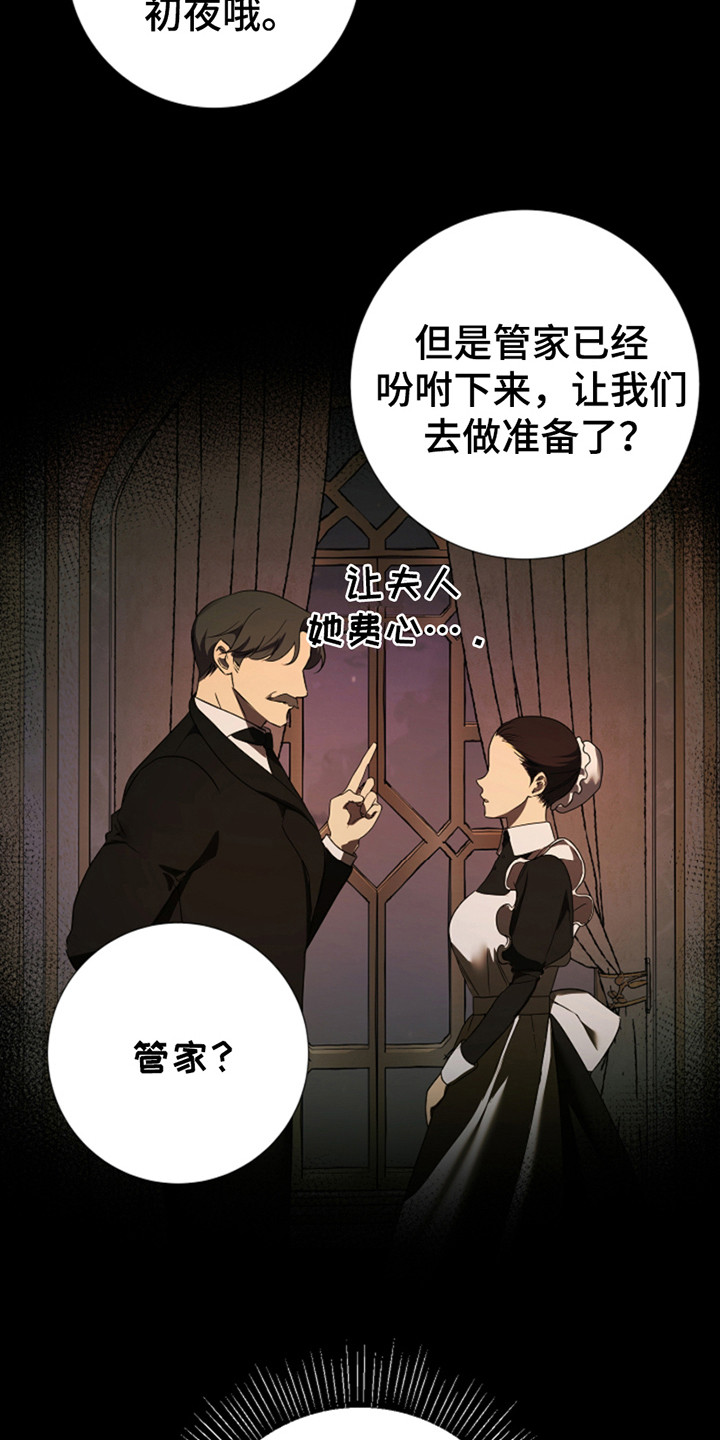 赤发千金特殊契约漫画,第9章：做准备5图