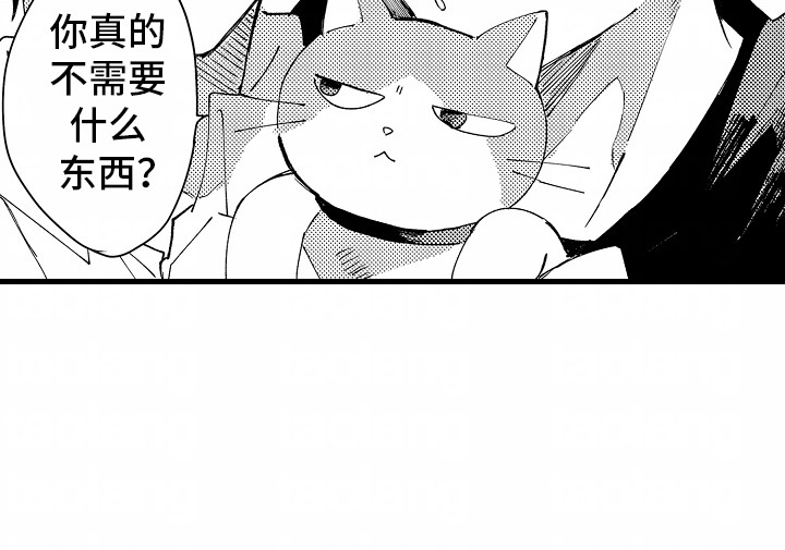 不用在垃圾堆里捡男朋友漫画,第6章：流浪猫2图