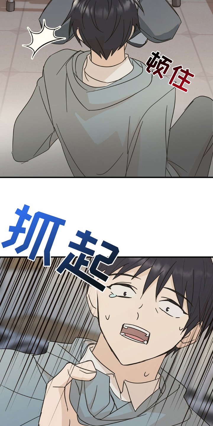 互补色的作用漫画,第13章：申请书3图