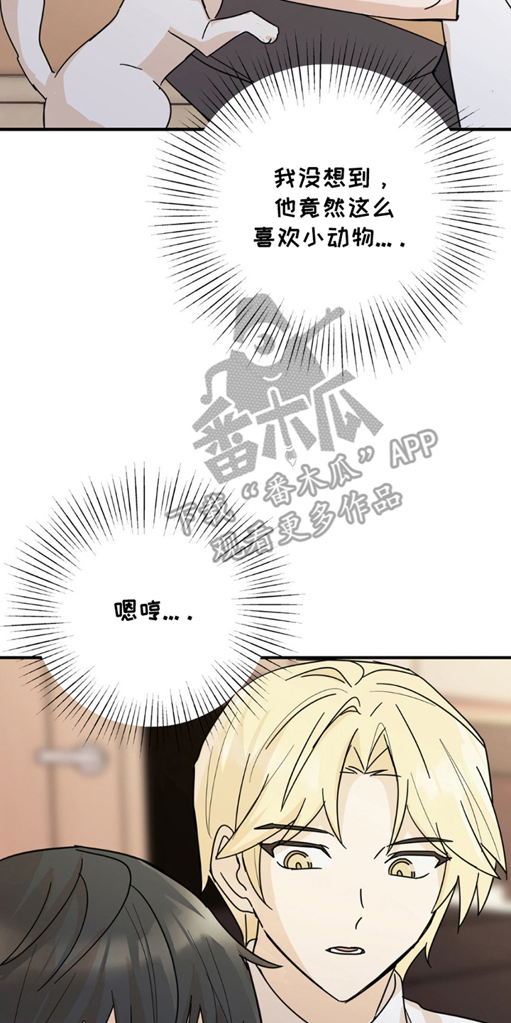 互补人生漫画免费56章漫画,第8章：分出真假4图