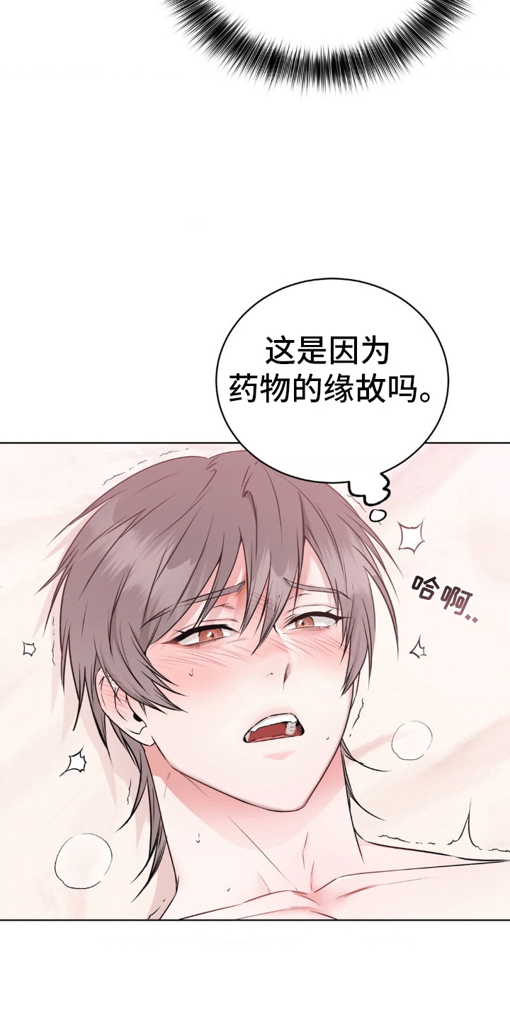 滑动解锁爱意漫画,第5章：诚实3图