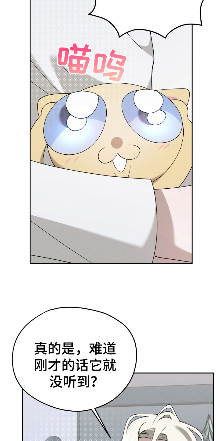 特级女仆王子漫画,第18章：一起生活（完结）2图