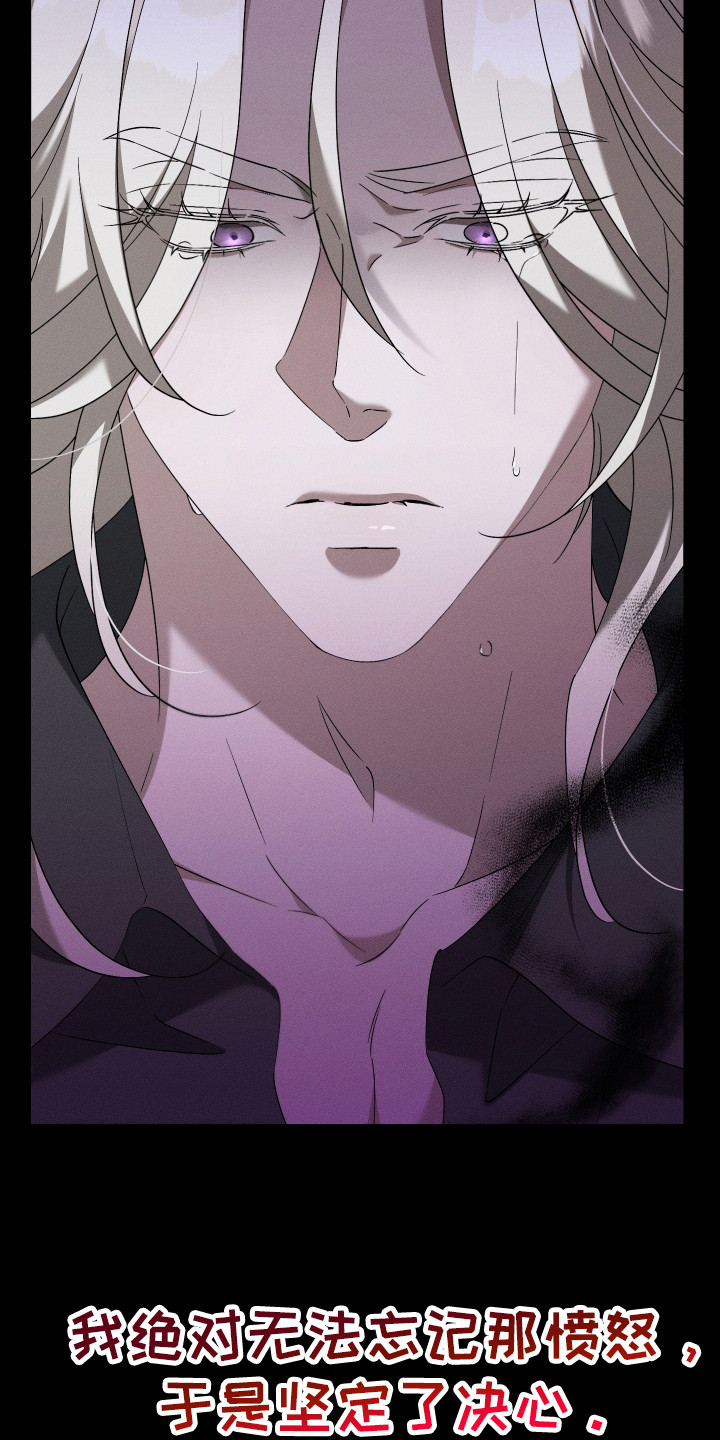 特级女仆王子漫画,第11章：决心2图