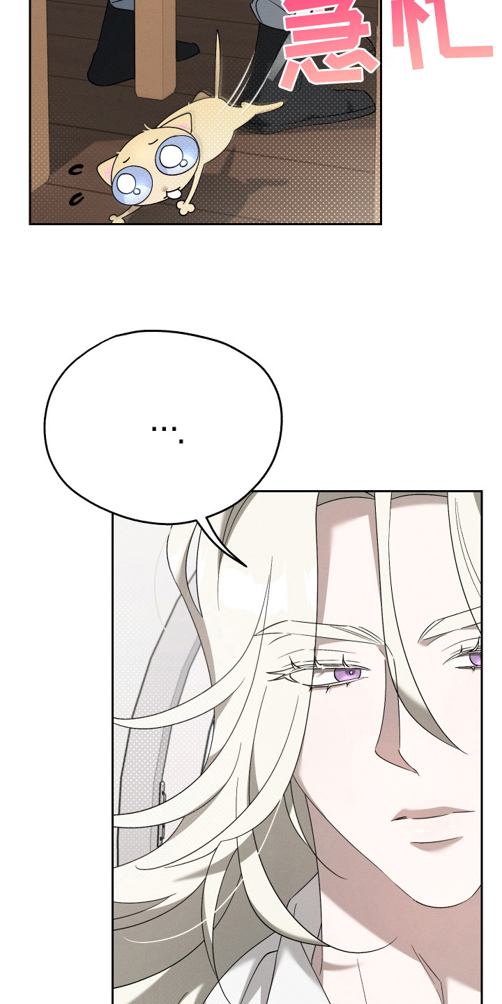 特级女仆王子漫画,第14章：猫咪4图