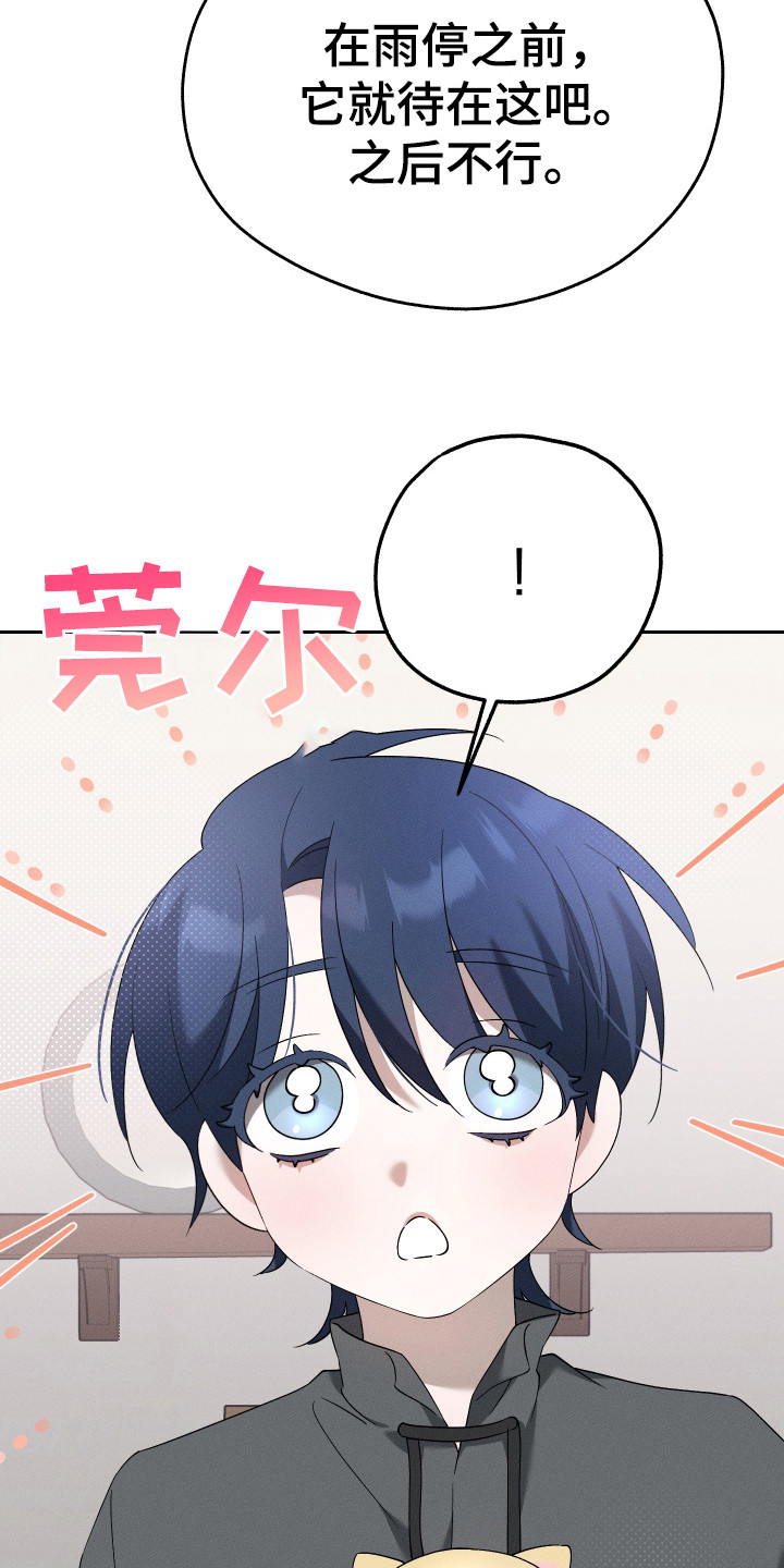 特级女仆王子漫画,第14章：猫咪4图