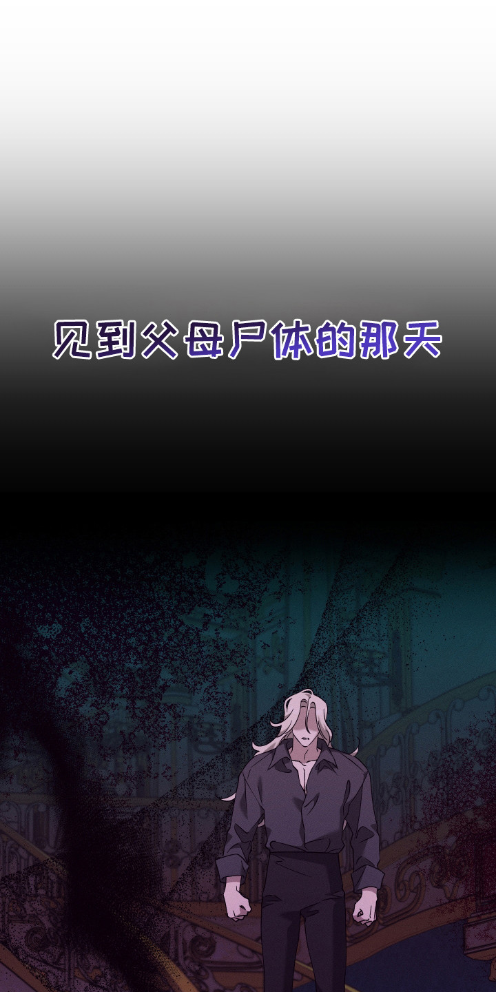 特级女仆王子漫画,第11章：决心5图