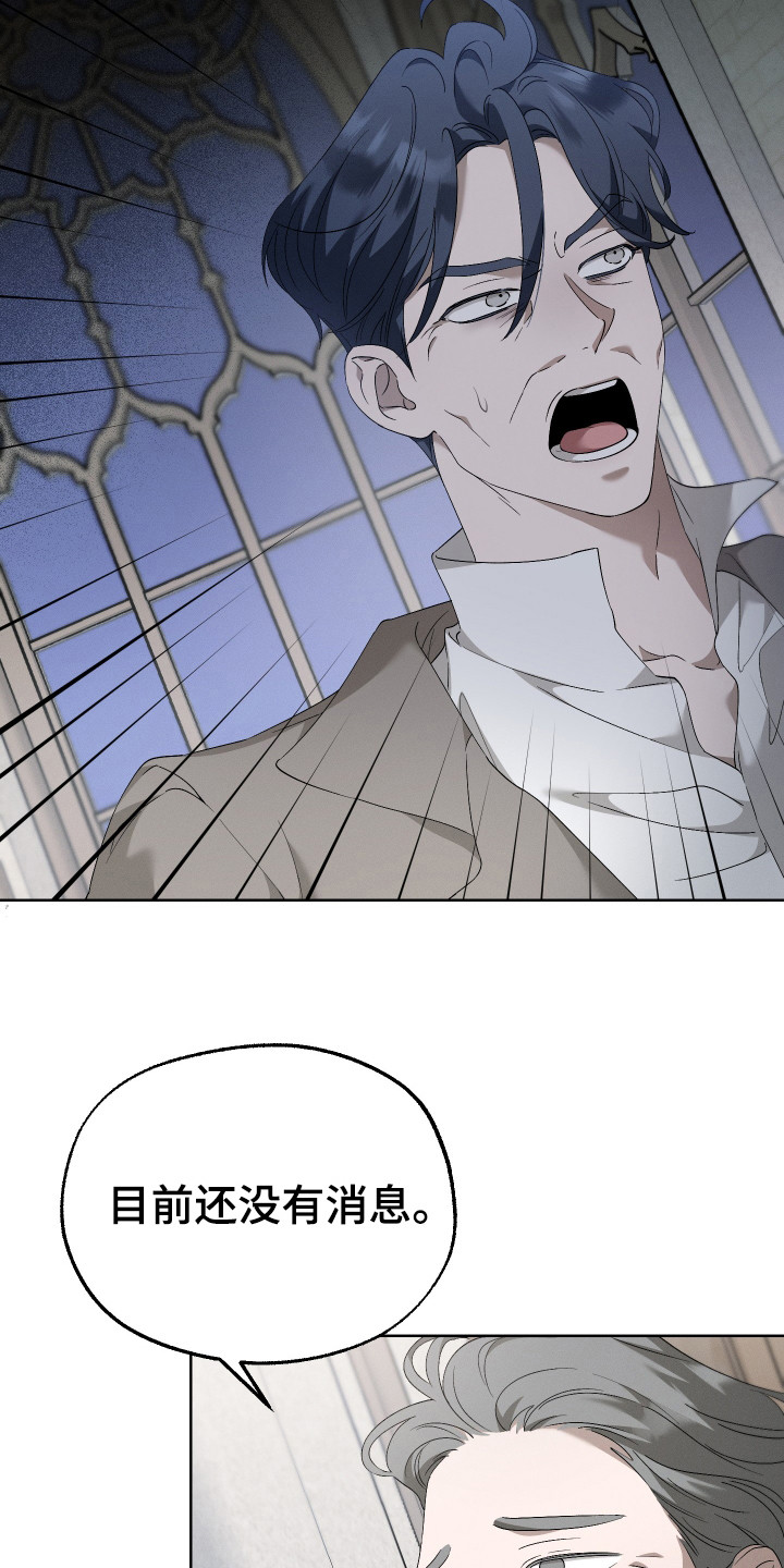 特级女仆王子漫画,第1章：最后的王子4图