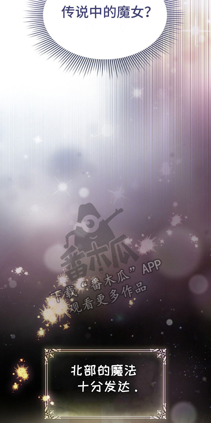 玛利亚参加晚宴的衣服漫画,第4章：魔女3图