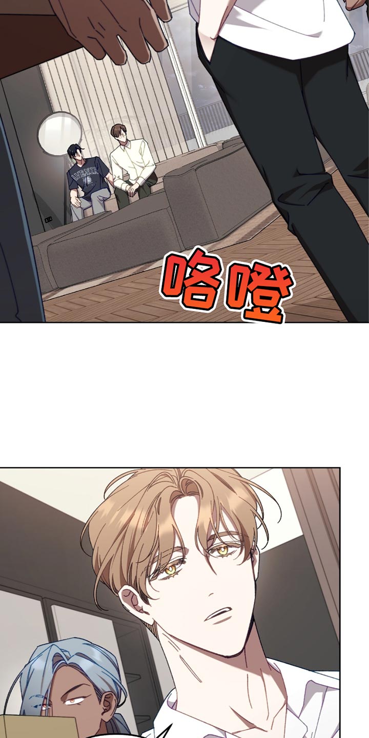 误入狼群漫画,第26章：秩序1图