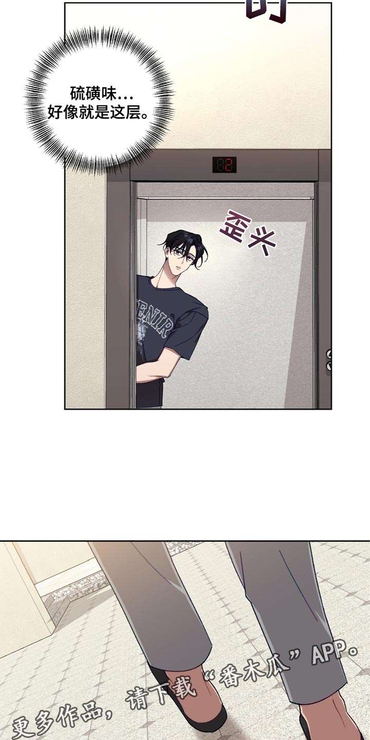 误入狼群漫画,第26章：秩序5图