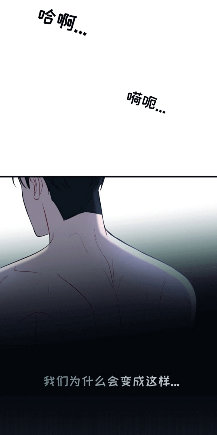 消失的美人鱼漫画,第1章：人鱼4图