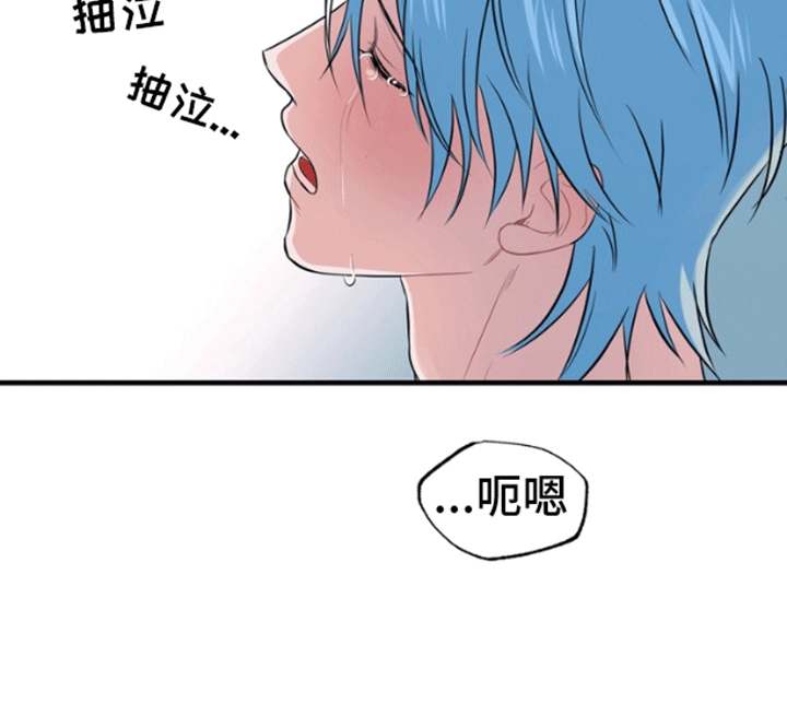消失的美人鱼漫画,第1章：人鱼4图