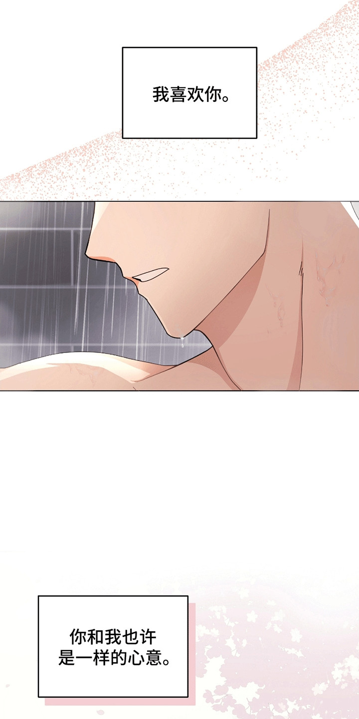 丘比特面包漫画,第15章：告白3图