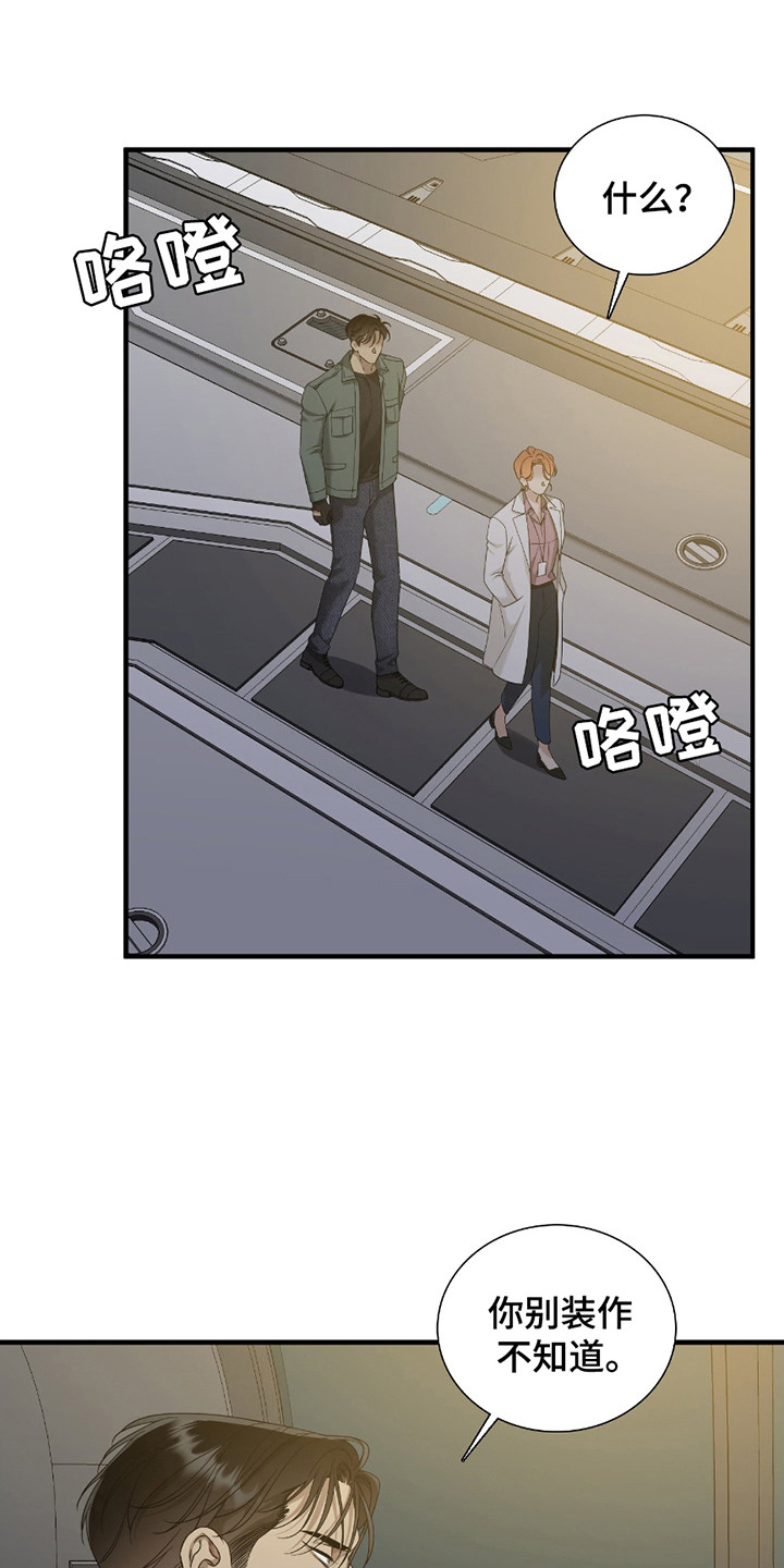 亲爱的夏娃漫画双男主漫画,第12章：负责5图
