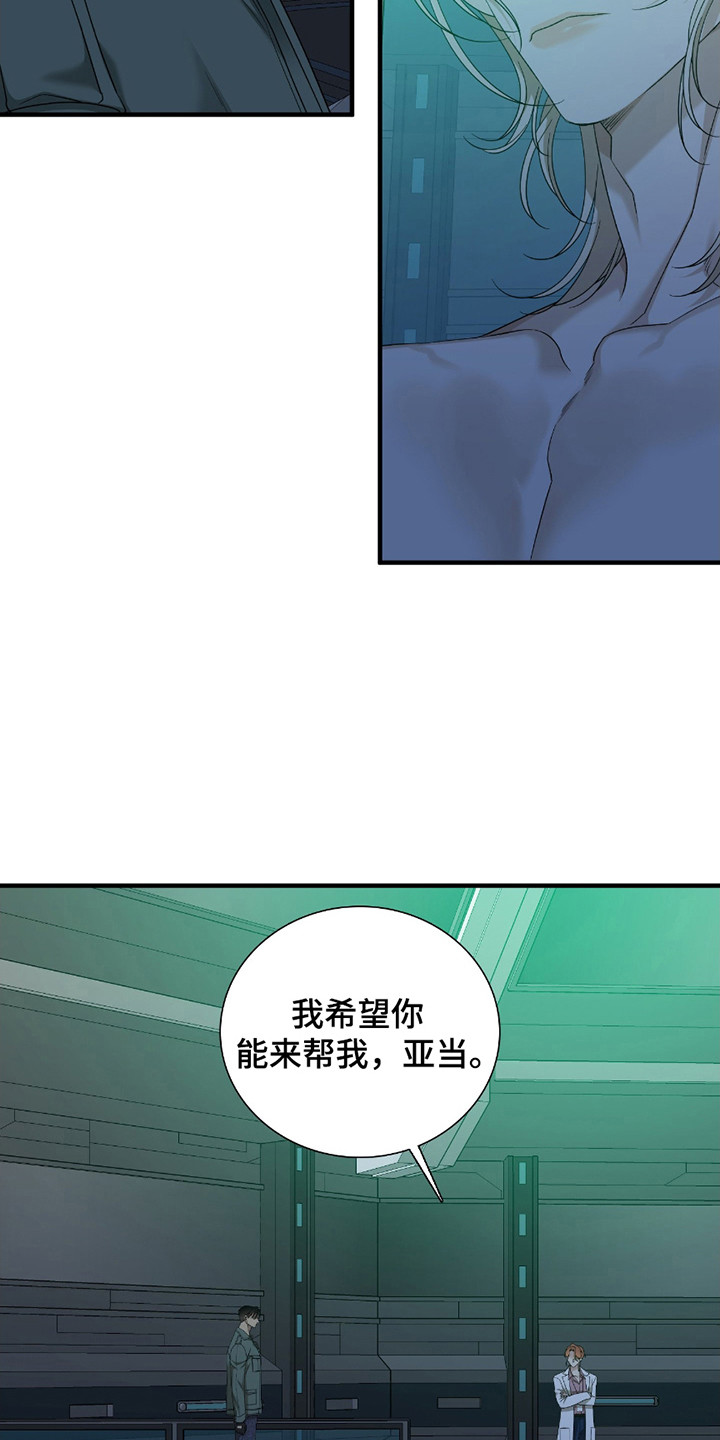 亲爱的夏娃漫画,第13章：价值1图