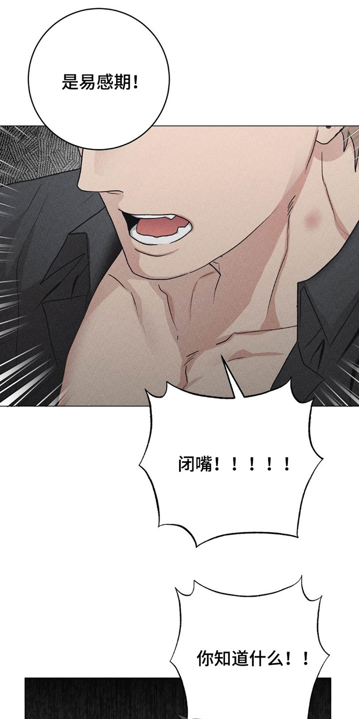 迟来的情缘漫画,第11章：复查3图