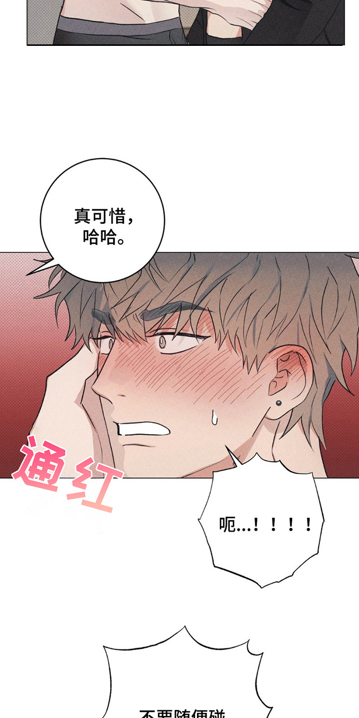 迟来的伴侣漫画免费读漫画的软件漫画,第10章：不记得了4图