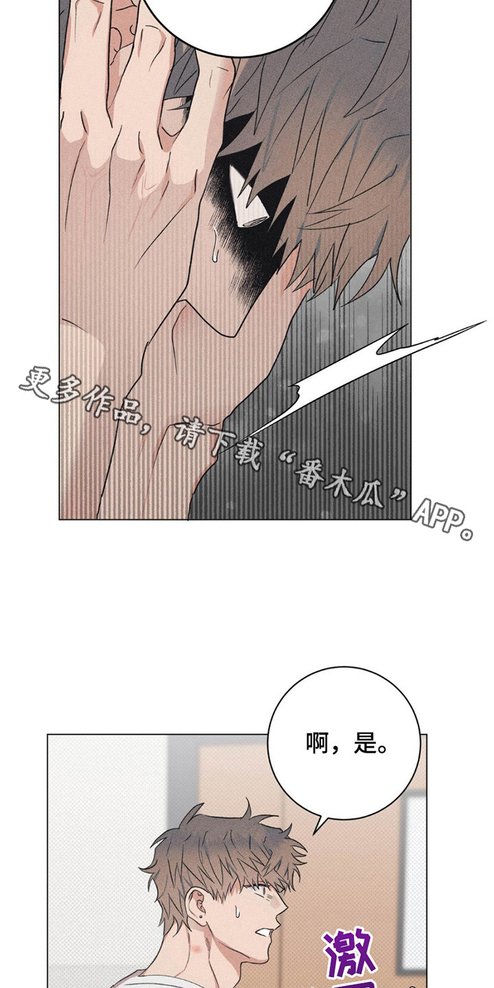 迟来的深情漫画,第12章：命运的伴侣5图