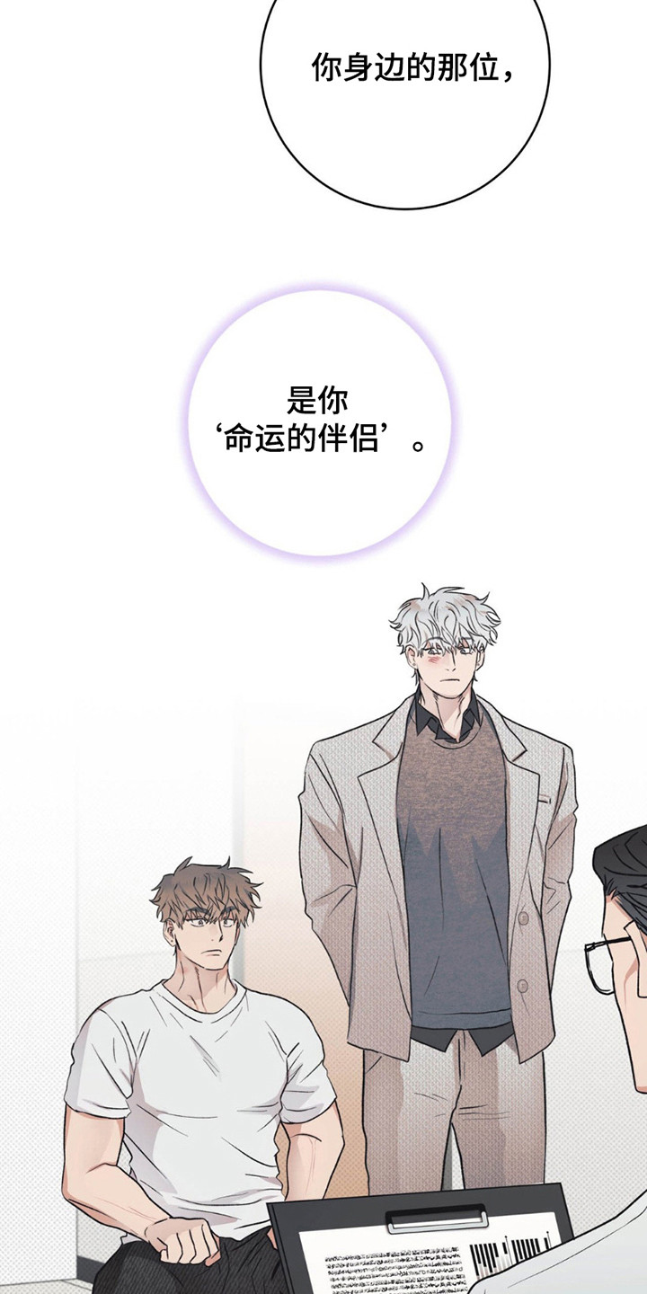 迟来的恋人漫画,第12章：命运的伴侣3图