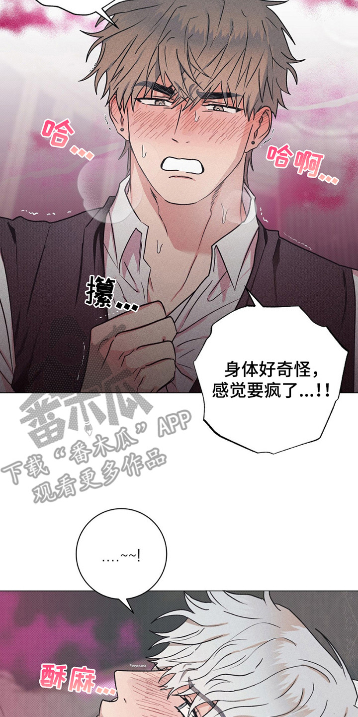 迟来的亲情比草贱短剧免费观看全集高清漫画,第6章：致辞5图