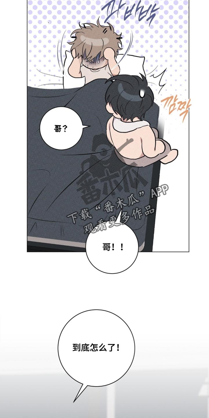 迟来的忏悔漫画,第76章：【番外】到底怎么了！3图