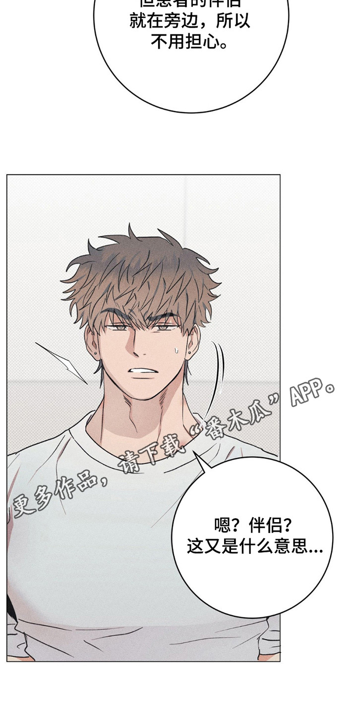 迟来的恋人漫画,第12章：命运的伴侣1图